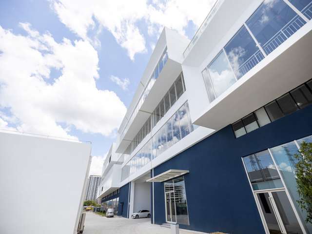 大袋粉末包装机的价格